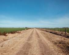 Venta Campo En Ramallo - 280 Ha