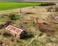 Venta Campo Ganadero. 128 HA. la Pelada, Santa FE.