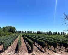 Finca en Venta en Producción Lavalle