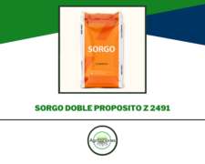 Sorgo Doble Proposito Z 2941