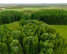 Excelentes Hectareas Ganaderas Costa Uruguay SUR