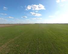 Udaquiola - 483 Ha - Buenos Aires