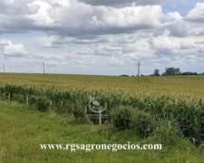 500 Has Agricolas Coneat 200 - Urugay