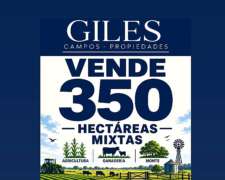 Campo Mixto 350 Hectáreas San Nicolás