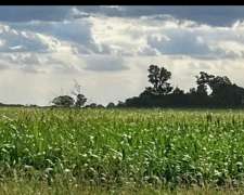 80 Ha SE Venden a 3 km Autovia 19.