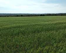 Campo Agrícola 170 HA. Zona Paraná. Buena Ubicación