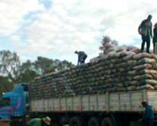 Carbon Vegetal Y Postes