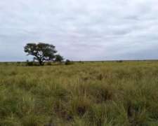 Venta 4.000 Ha. Norte De Santa Fe