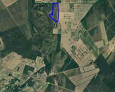 100ha Zona Gamara/bajo Grande