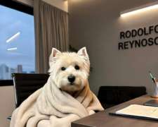 Asesoramiento en Inversiones Rurales - Entre Ríos