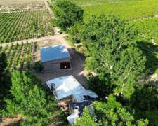 Finca Productiva con Pozo 29 Ha -san Martin - Mendoza