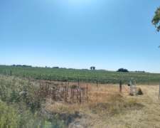 Vendo Campo Mixto Sobre Ruta Bolivar