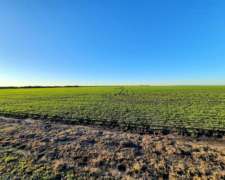 248 Ha Mixtas Mayormente Agrícola. en Rosario del Tala