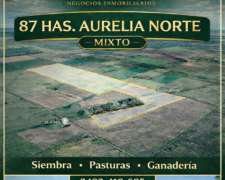 Vendo 87 Has Mixtas Aurelia Norte