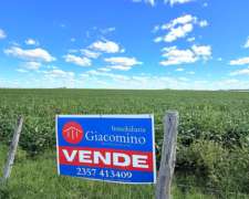 Excelente Campo Mixto en Carlos Tejedor