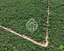 Campo Ganadero Con Base Agrícola De 2780 Ha Anta Salta
