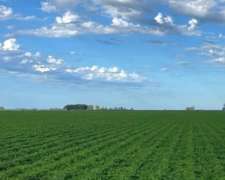 Departamento Conhello, la Pampa