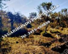 Arriendo Campo Ganadero 383 Ha – Raíces Oeste, Villaguay ER.