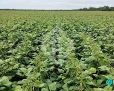 Campo en Venta 12000 Has Zona la Estrella Salta