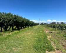 Finca en Venta 48.2 Ha Excelente Ubicación en Lavalle