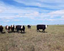 Estancia Correntina Ganadera 2070 Ha Financiadoooo