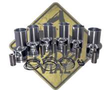 Conjunto Motor Weichai WD10G220E21 / 23 Pozo 75mm (6 Bocas)