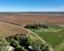 Pehuajó, Buenos Aires - 2.422 Ha