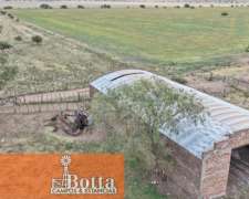 Campo Mixto En Venta — 470 Has Bernasconi, La Pampa
