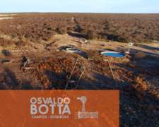 Campo Ganadero en Venta 5000has SUR de San Luis