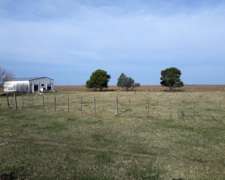 870 Has Mixtas C Tejedor