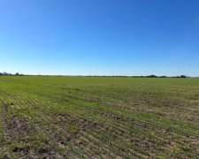 Campana, Buenos Aires - 101 Ha