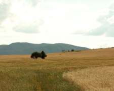 Venta De Campo En Las Flores - 2400 Ha