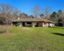 71 Has. Campo Agrícola con Mejoras y Arboleda en Torres