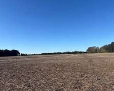 Campo de 17 Has Agrícolas en Venta en San Pedro