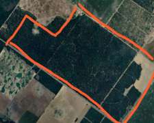 Oportunidad Campo Agrícola en las Breñas a Desarrollar