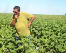 440 Ha en Marcos PAZ BS AS Agricolas