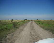 Entre Rios, Lucas Norte Alquilo 1947 Has Mixto.