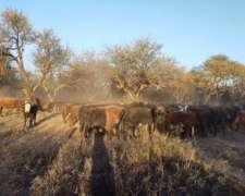 3.300 Has. Campo en Ayacucho, San Luis