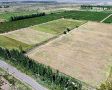 Finca de 32 con D° Riego y Pozos