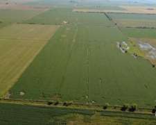 Venta Campo Agrícola de 54,212 Ha en las Colonias