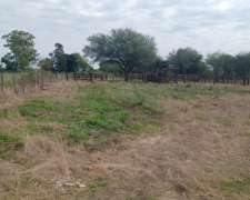 16 Ha Ganaderas. Departamento Nogoyá. Buen Campo