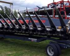 Cabezal Maicero Mainero de 16 a 52 año 2020