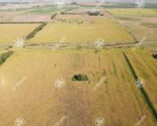 Campo en Venta 57 Has en Chascomús