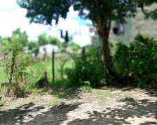 Buscamos Trabajo de Casero.parquero