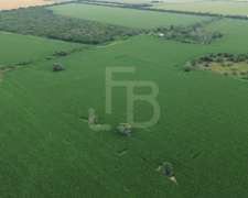 Campo Agrícola en Rafael García, Córdoba