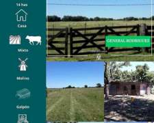 Campo en General Rodriguez 14 Has