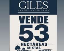 Campo Mixto 53 Hectáreas San Pedro
