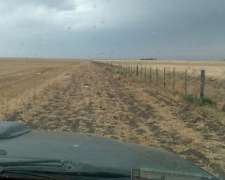 Vendo Campo Partido Tornquist