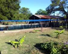 2.895 Ha en Paraguay- Magnífica para Ganadería