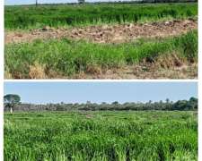 Formosa, Campo Desarrollado Chacras